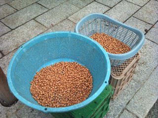 2010-10-29 12.18.36.jpg