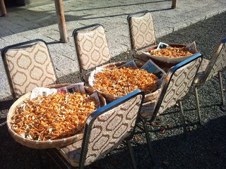 2010-11-29 08.57.30.jpg