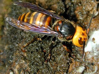 2010-11-29 09.38.54.jpg