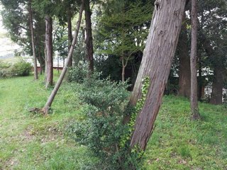 20130411_103827.jpg