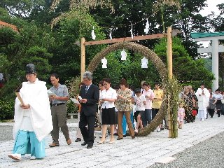 IMG_3207.jpg